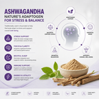 Ashwagandha 200 mg + L-Theanine 200 mg + Magnesium 75 mg - Stress and Relaxation Support - 120 Vegan Capsules