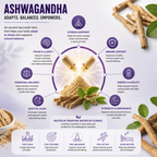 Ashwagandha 200 mg + L-Theanine 200 mg + Magnesium 75 mg - Stress and Relaxation Support - 120 Vegan Capsules